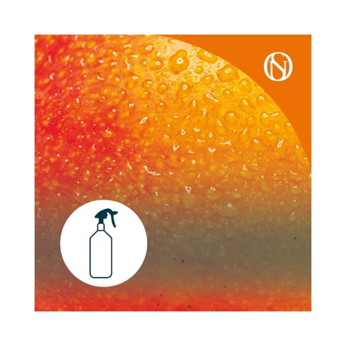 ambientador pulverizador spray mango Ambientador pulverizador spray Mango