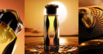 Perfume Árabe Teriaq Intense de Lattafa - Imagen 3